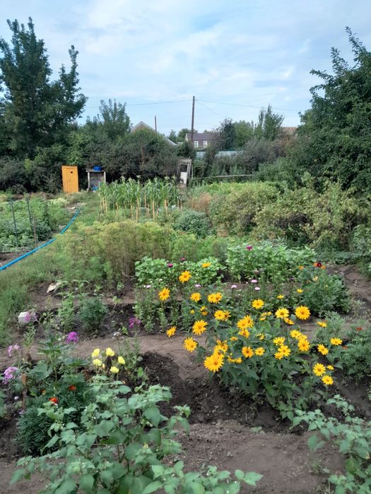 Продам дачу в обществе Парус