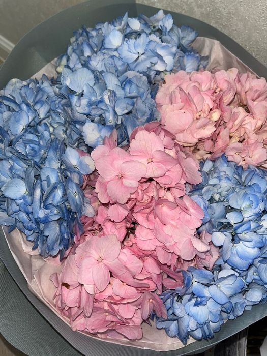 Цветы гартензия.