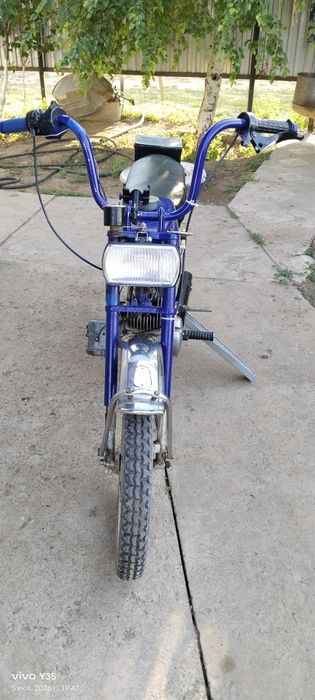 Продам карпатый 2