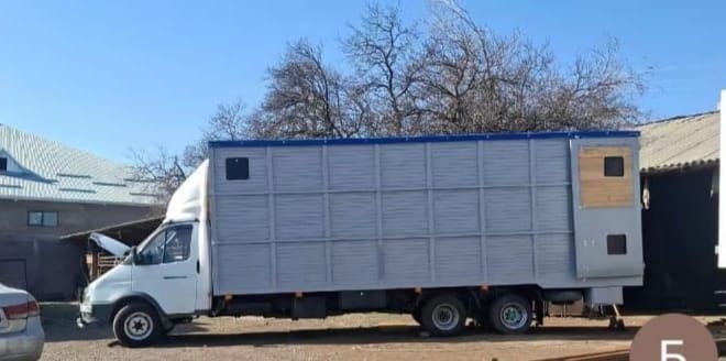 Мал тасмалдаймын барлык багыта..