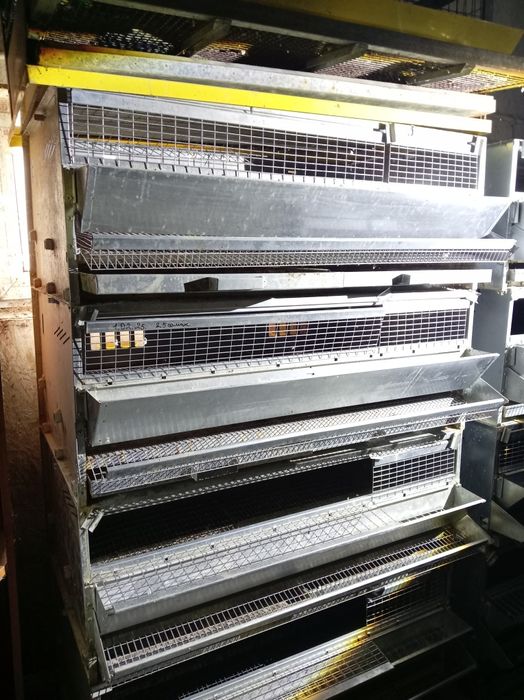 Продам перепелиные клетки