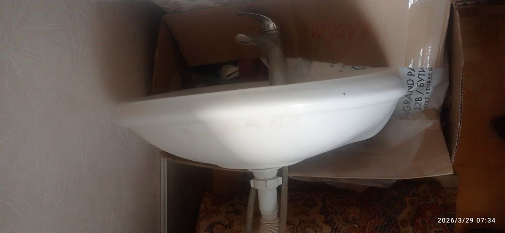 Раковеня тюльпан