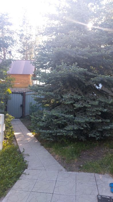 Сдаётся  дом на бухтарме 22000 сутки