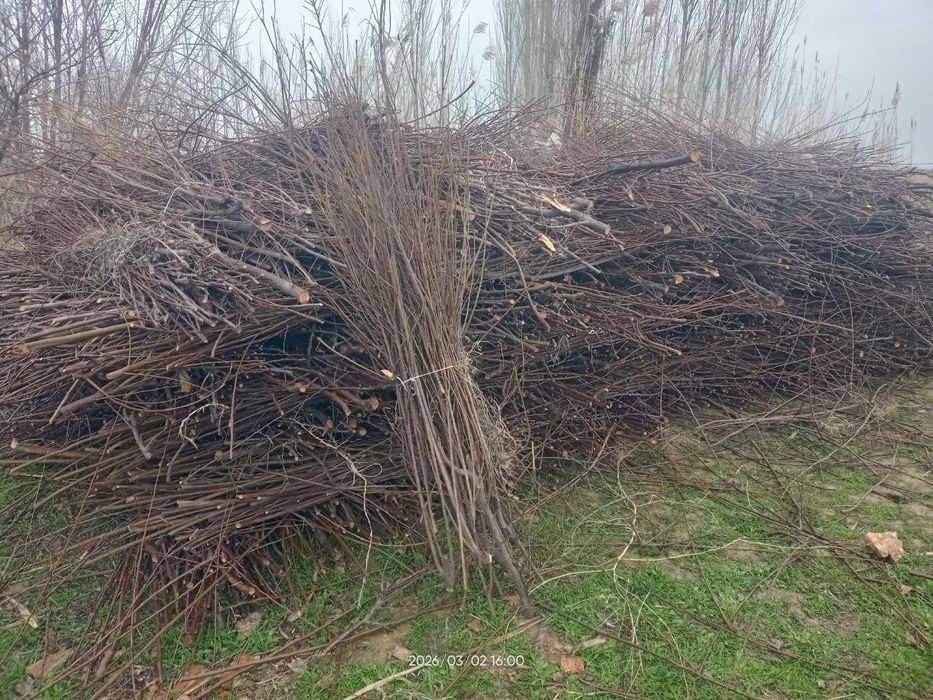 O'tin sotiladi vog'langan