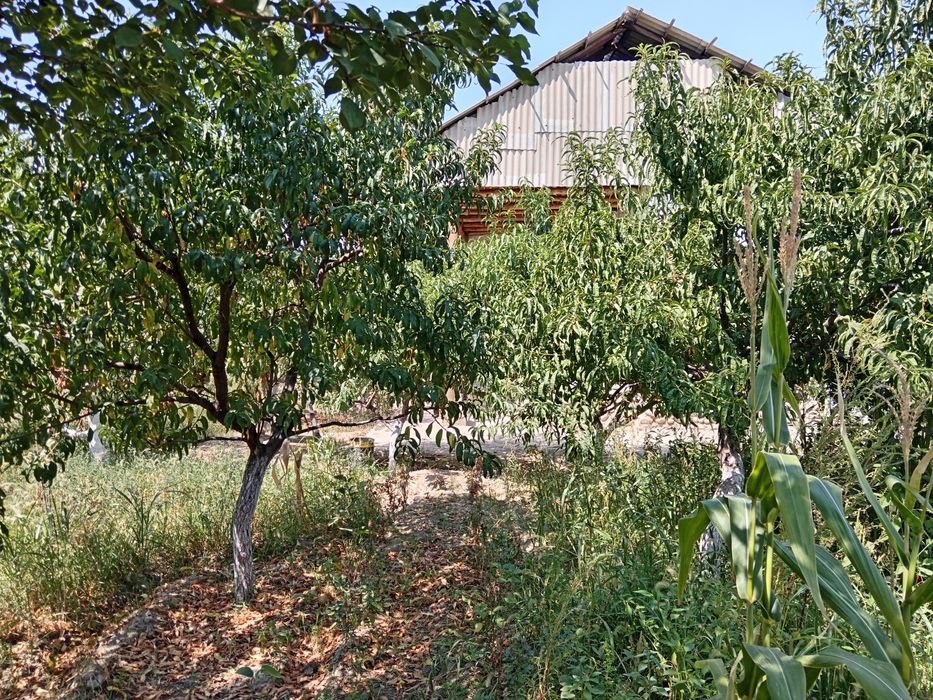 12 сотих Уй Сотилади