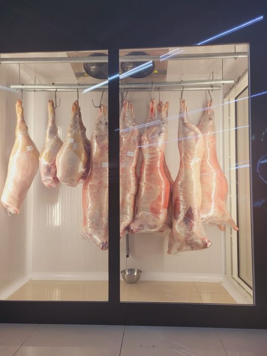 Vitrina frigorifica profesionala,carmangerie,carcase