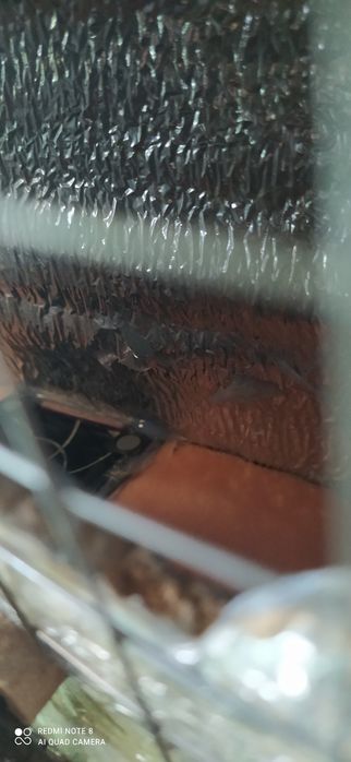 Инкубатор 120 яйц