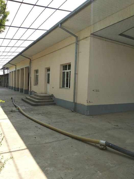 Дала ховли сотилади