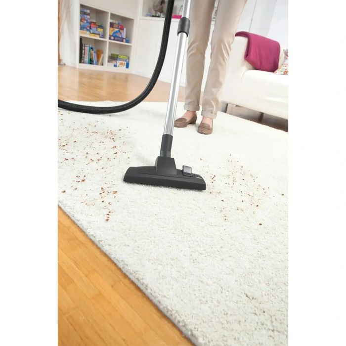 Пылесос Karcher DS 6