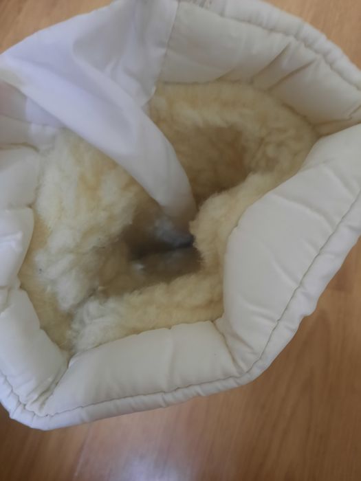 Продаётся зимняя обувь на девочку