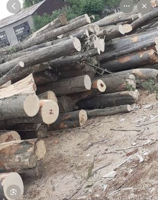 Vand lemne de esenta tare