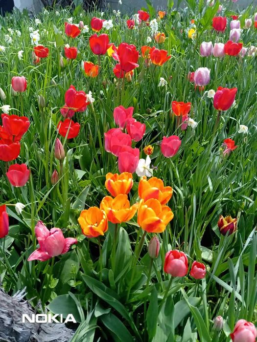 Собственик продава масивна къща в с.Бенковски, на 12км. от гр.Варна