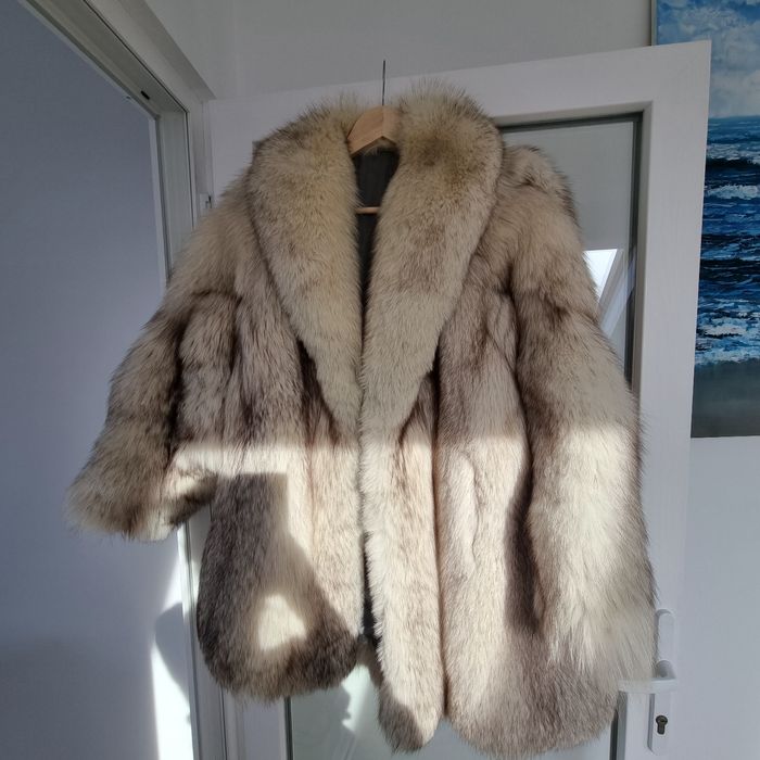 Vând blana vulpe argintie, stare foarte buna