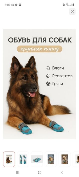 Продам обувь для собак