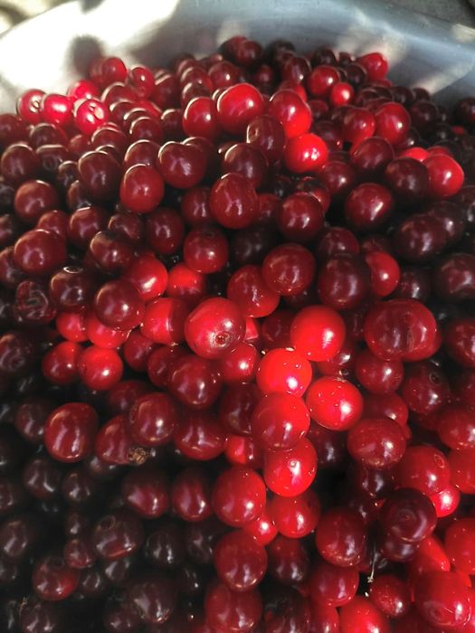 Вишня крупная замороженная