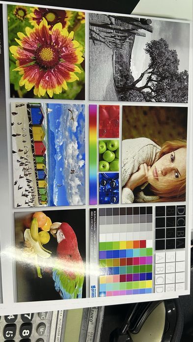 Принтер Epson l800