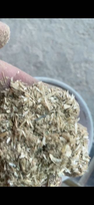 Бугдой топон   мол куйларга