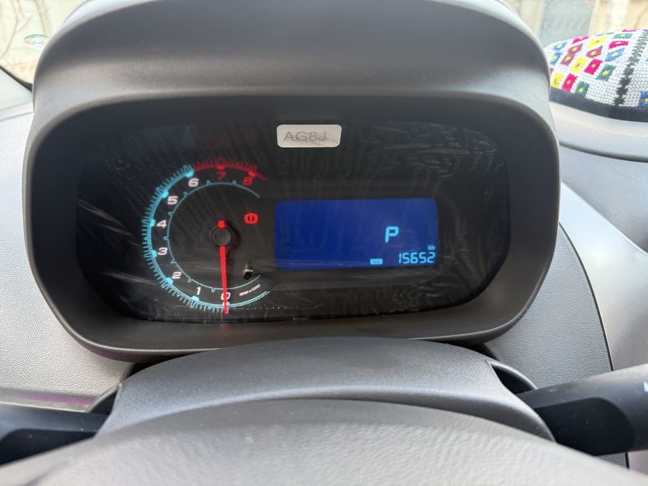 Продам кобаль 2024 гола