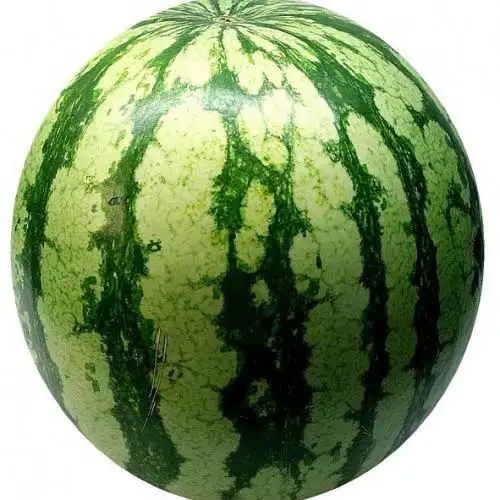 Продам арбузы с поля