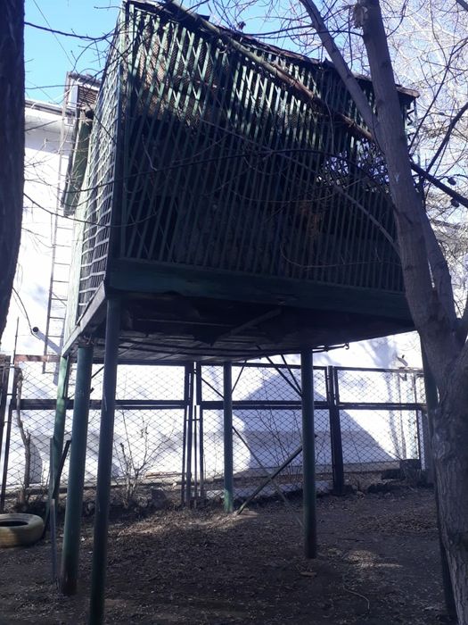 Голубятня (самовывоз)