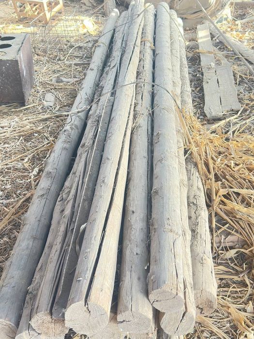 10 лик 4 метрдан