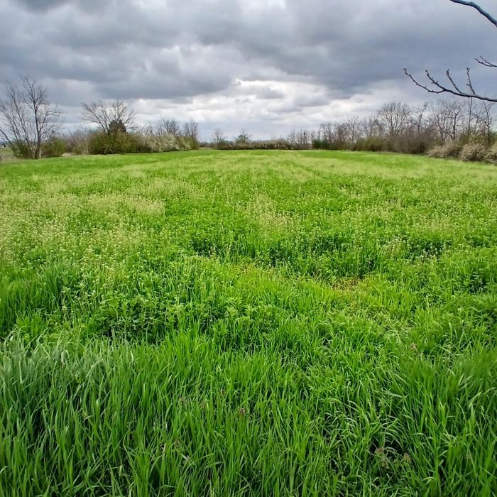 Vand 2 terenuri intravilane Hitias