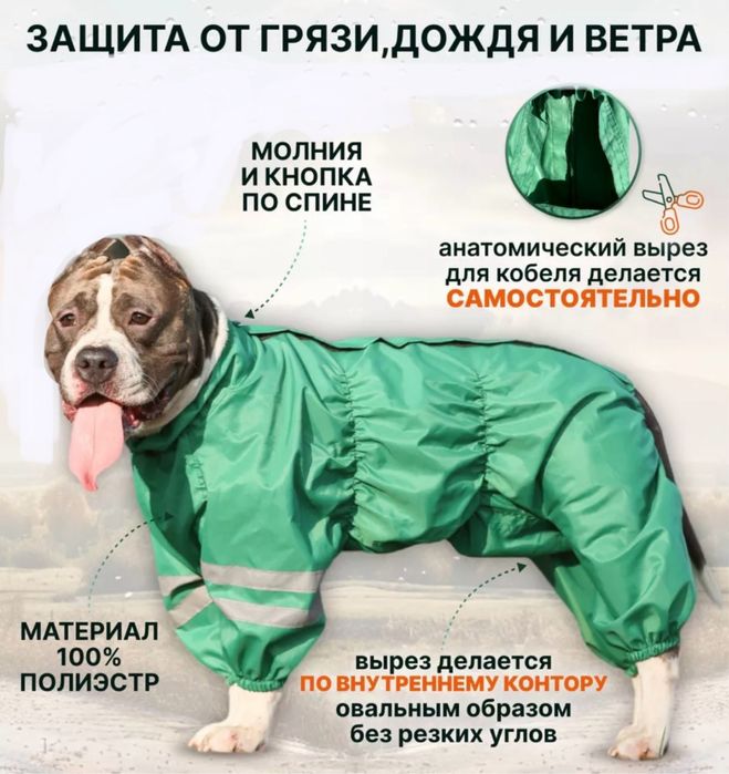 Дождевик-комбинезон для собак