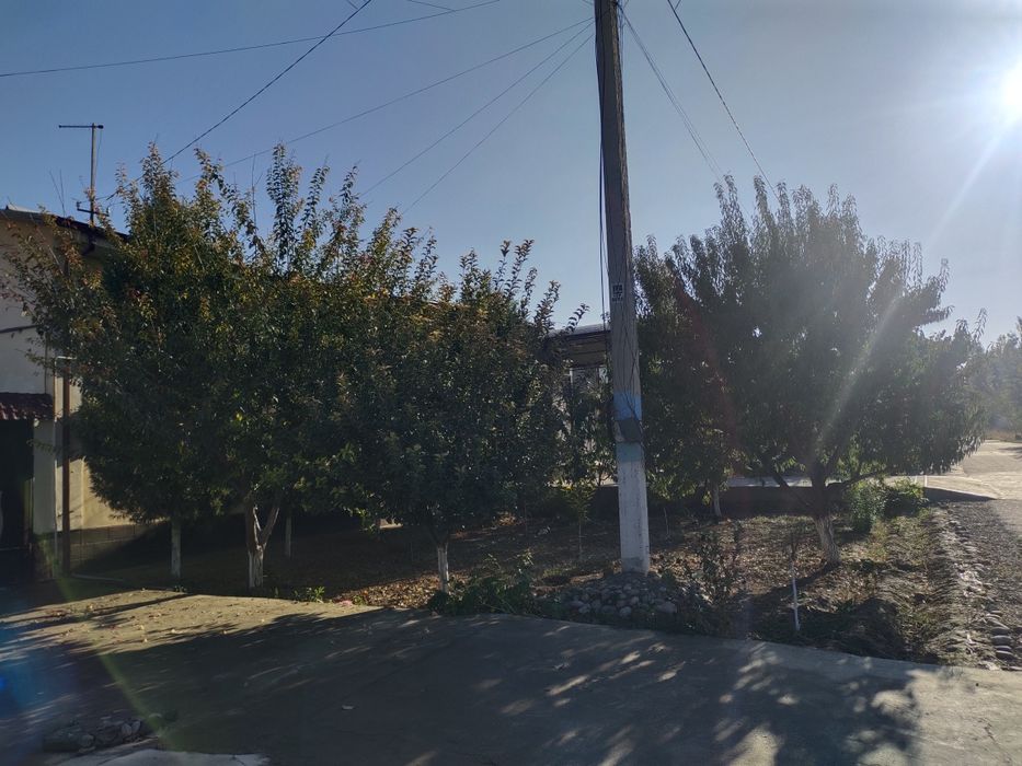 Намунали типдаги уй