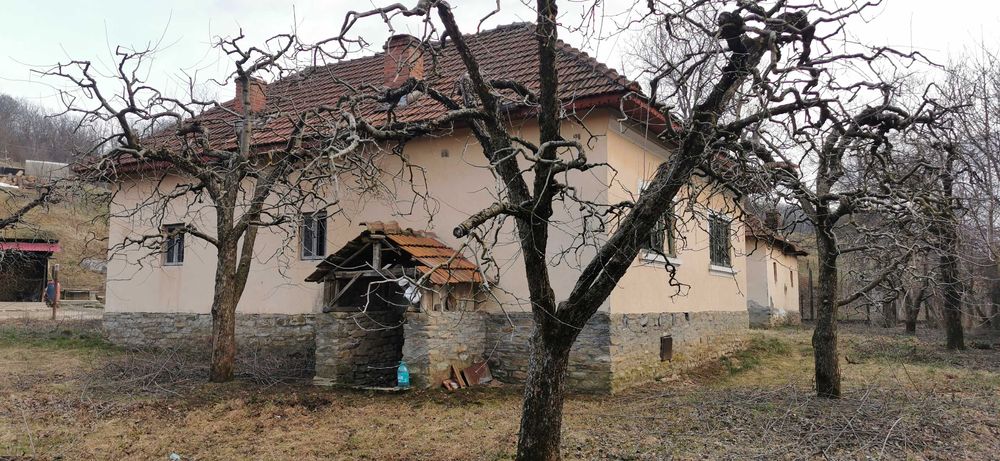 Casa batraneasca Malu cu Flori cu livada de meri