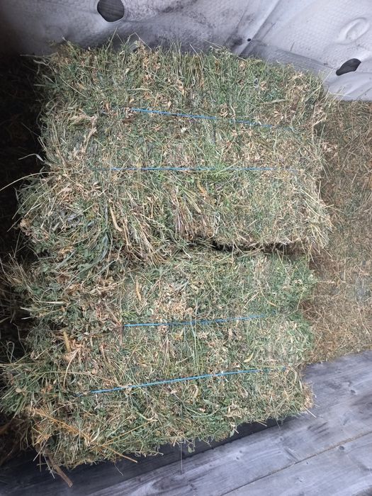 Vând baloti de lucerna