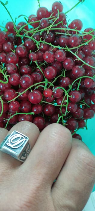 Продам саженцы ягод