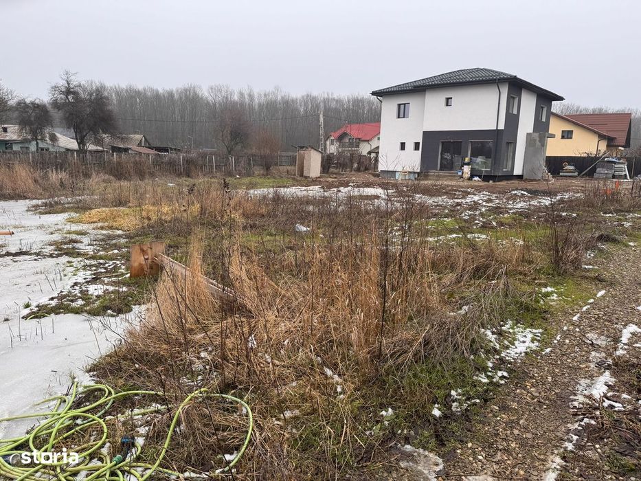 Teren Ciolpani/Snagov: la 2 min de padure si DN1. Toate utilitatile