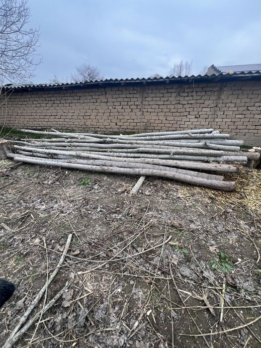 Терак тосин сотилади срочно