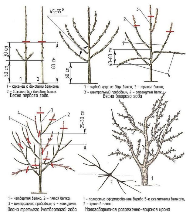 Садовник профессионал