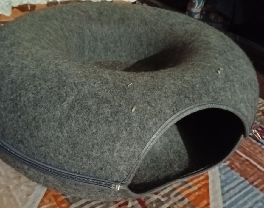 Отдаю в добрые руки двух кошек