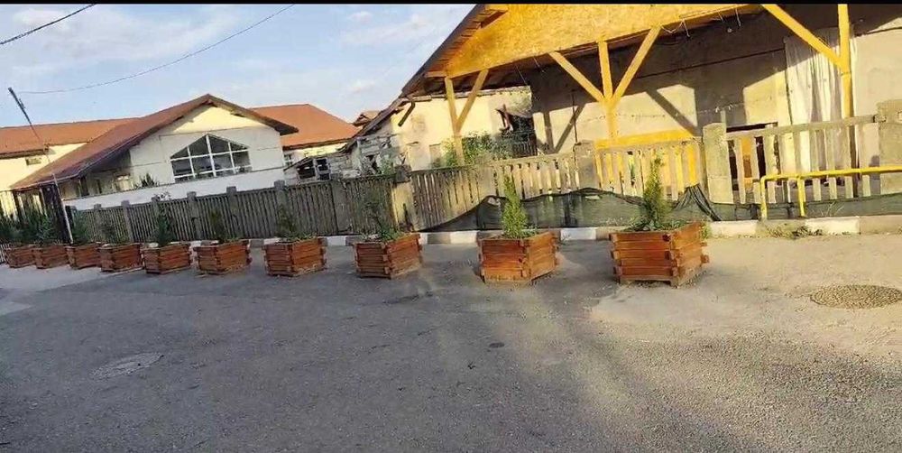Casa de Vanzare In inima culturii viticole in Ceptura de jos