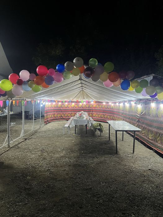 Палатка в аренду 24/7