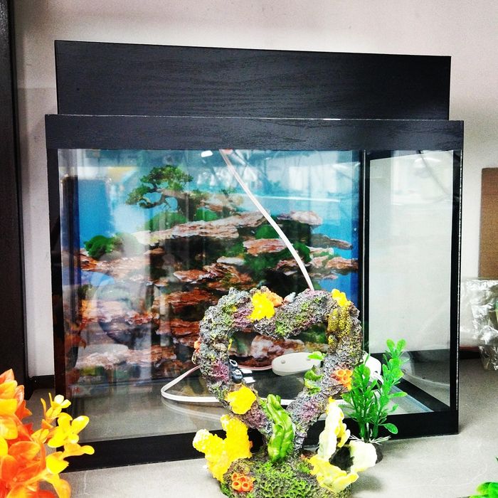 Аквариумы в Афалине