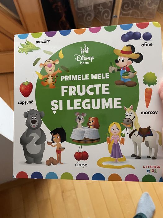 Set 2 carti usbone si litera mica copii