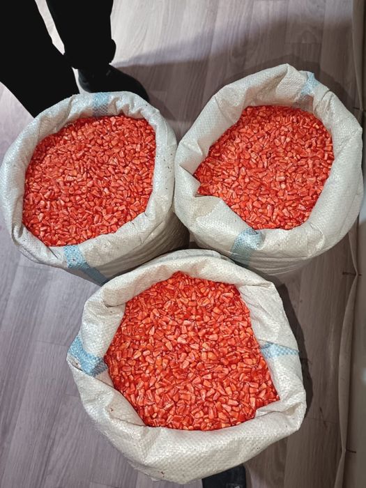 Семена кукурузы