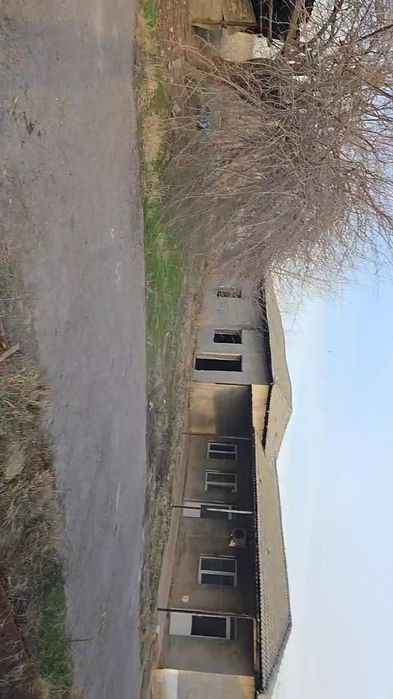 Сотувга чорва учун ферма