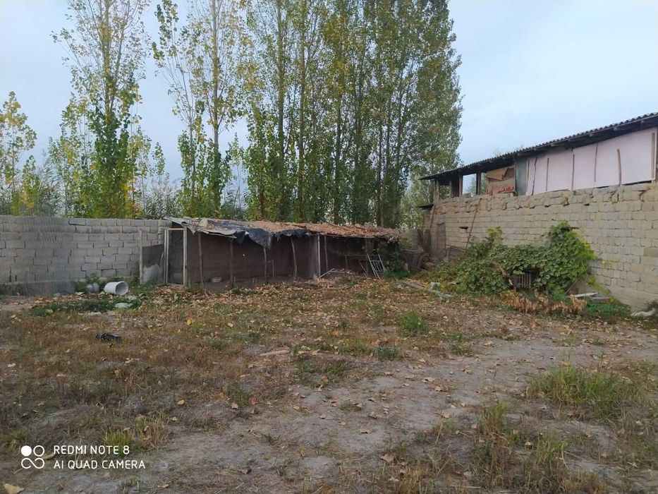 Срочно Ер сотилади Тинчликда 3,6 сотх, зор локацияда