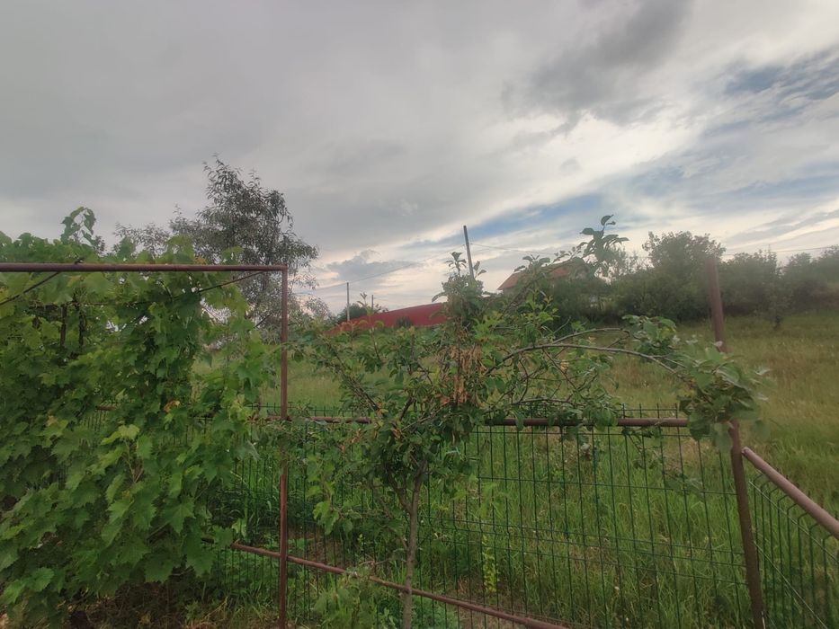 Casă de vânzare!