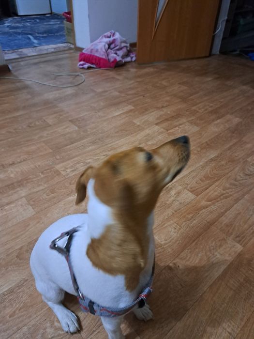 Девочка ище мальчика