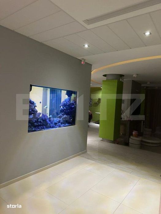 Vila, 8 camere, 790 mp utili, zona Lunei