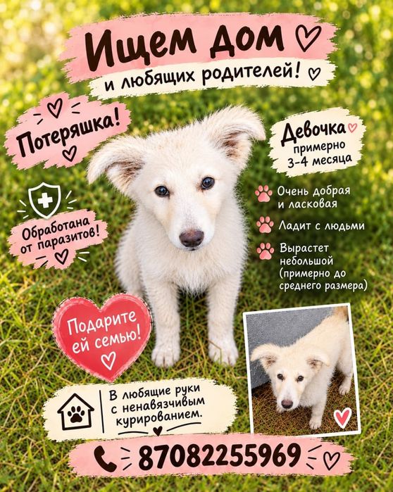 Ищет дом малышка