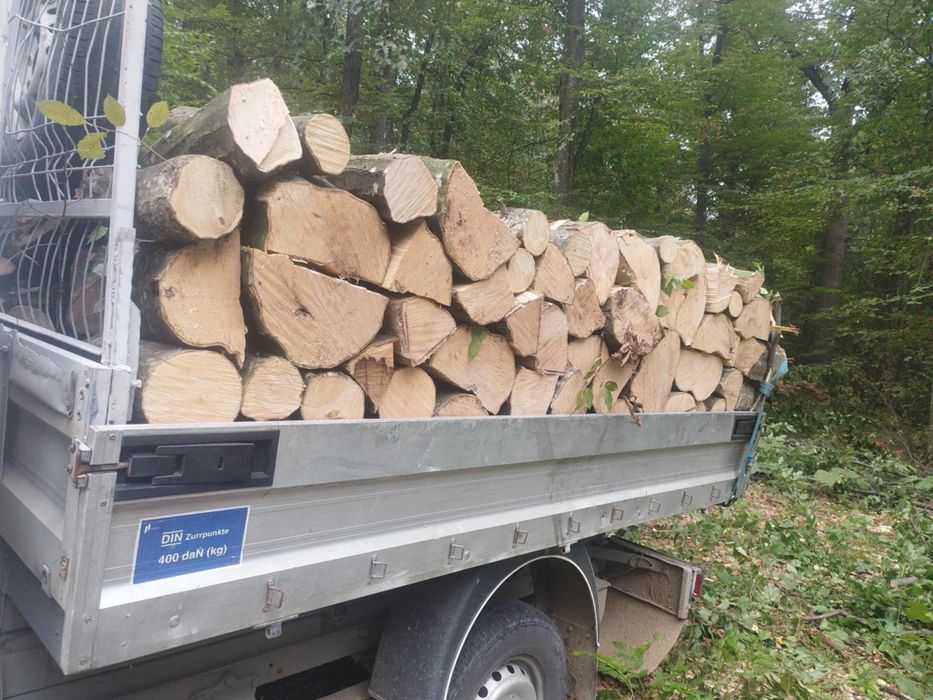 Lemne de foc fag carpăn frasan stejar