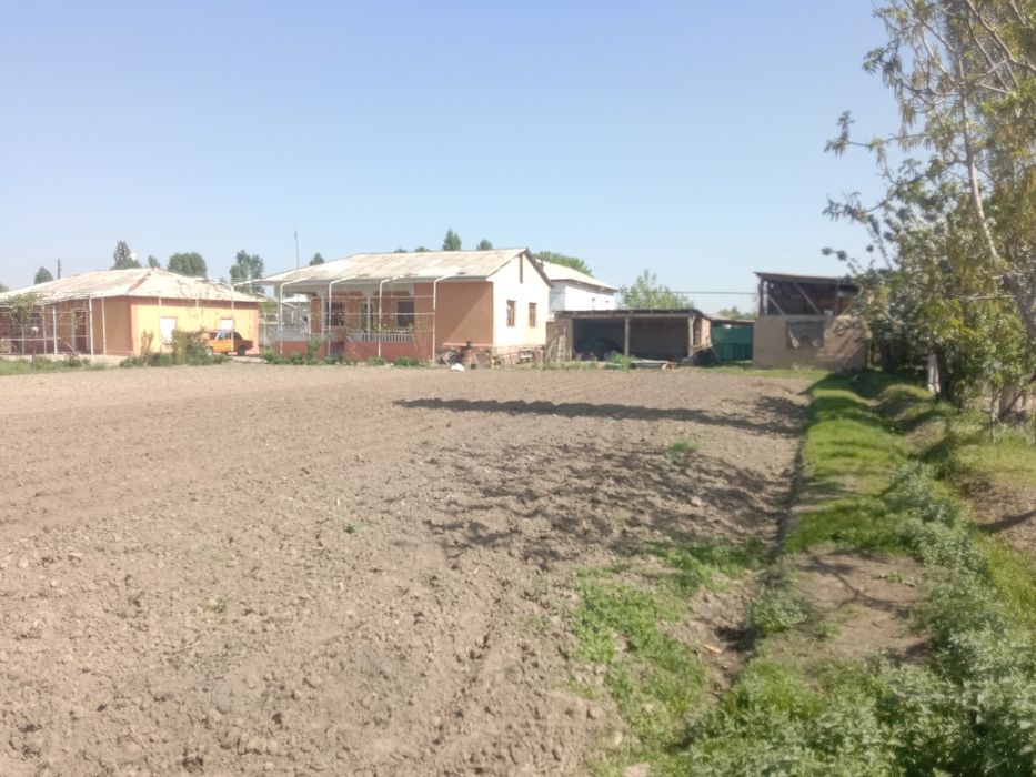 Срочна Уй сотилади 24 сотих