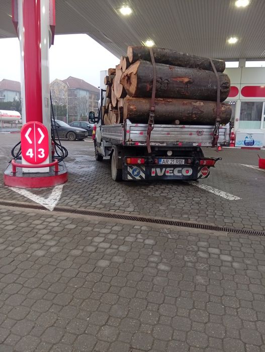 Lemne de foc fag esență tare