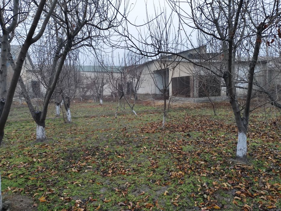 7 sotixlik xovli sotiladi